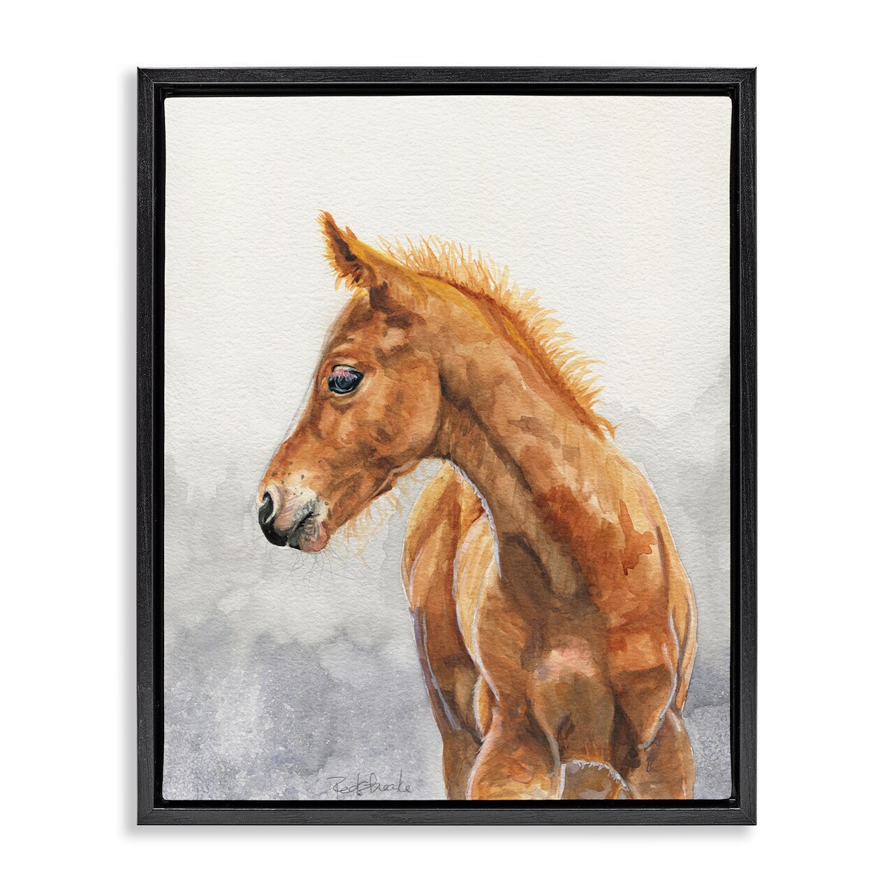 Stupell Industries Watercolor Brown Foal Framed Floater Canvas Wall Art Design by Birch & Ink